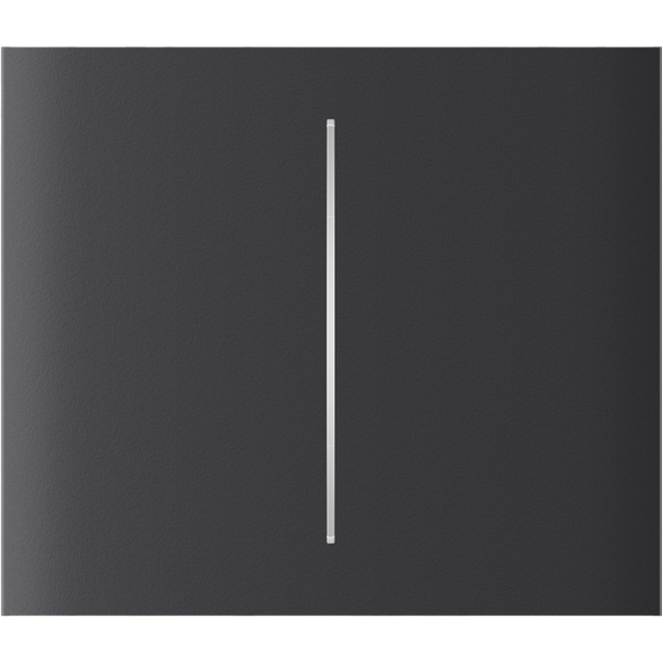 Центральна кнопка для двоклавішного вимикача Ajax CenterButton (2-gang) vertical Graphite (83445.140.GP) 000046475 фото